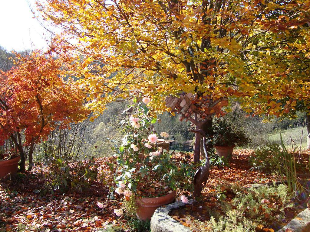 Cascina Nel Bosco Bed and Breakfast Moncucco Torinese Exterior foto