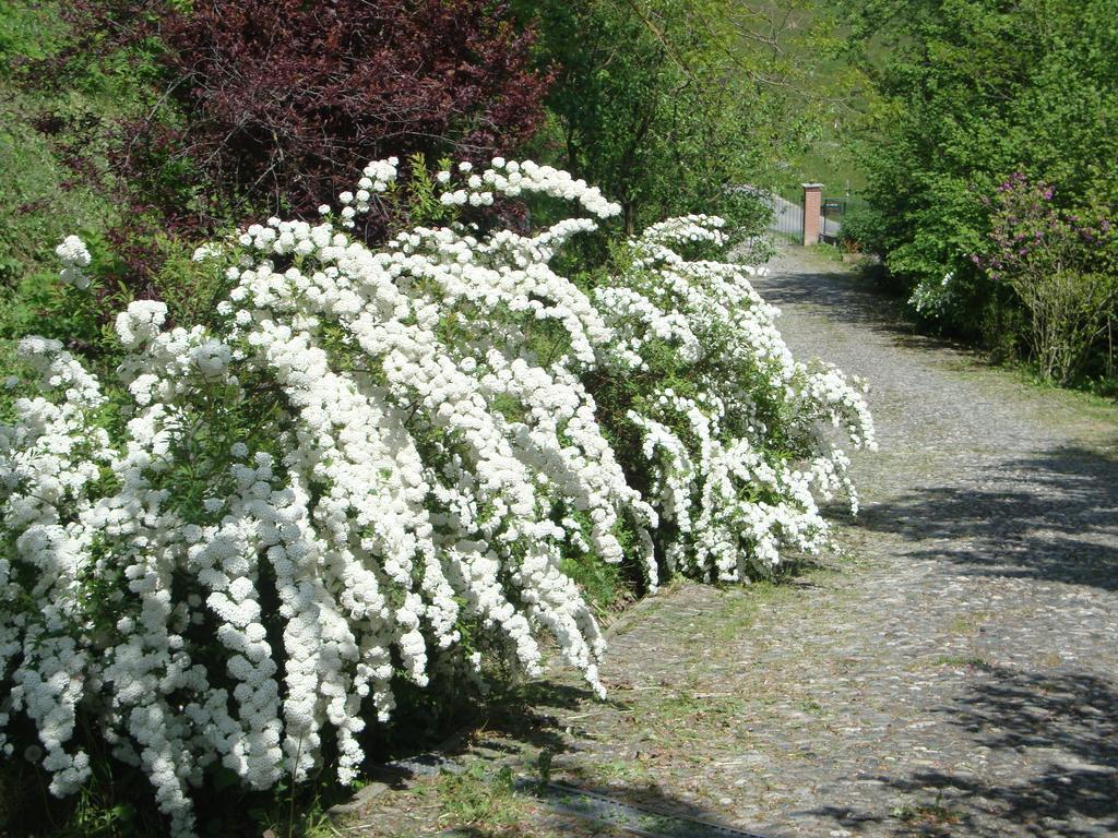 Cascina Nel Bosco Bed and Breakfast Moncucco Torinese Exterior foto